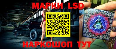 ECSTASY Новозыбков