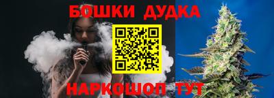 ECSTASY Новозыбков