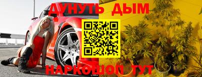 прущие крисы Новокубанск