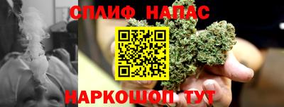 ECSTASY Новозыбков