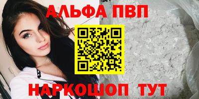 ECSTASY Новозыбков