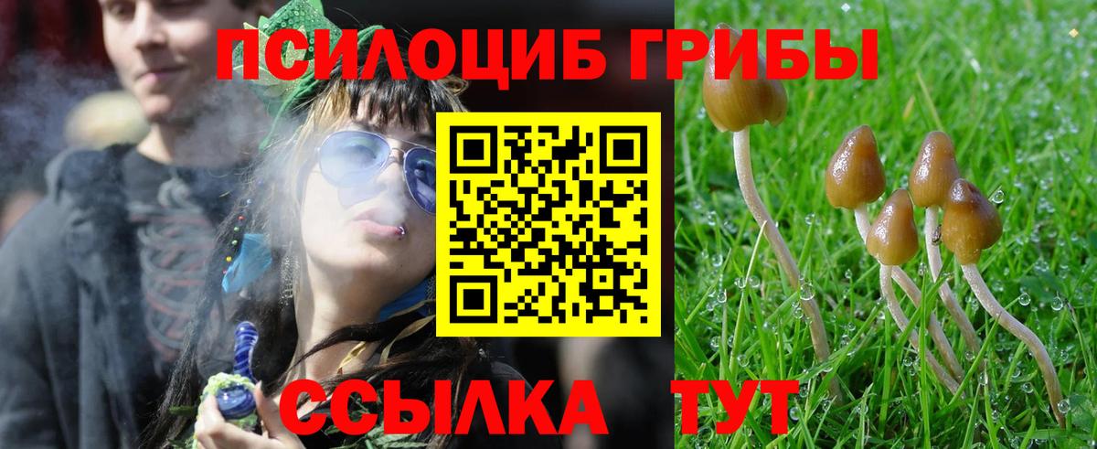 Псилоцибиновые грибы мицелий  Вход с VPN  Псилоцибиновые грибы прущие грибы  Алапаевск 